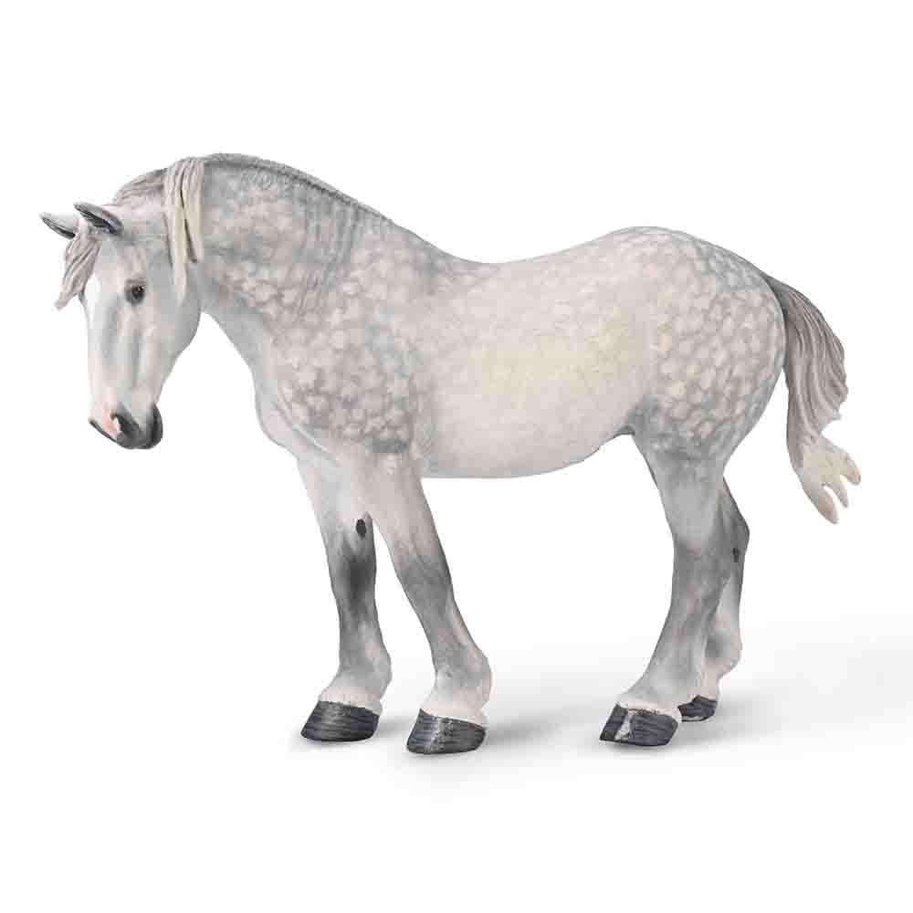 Percheron Mare – Dappled Grey