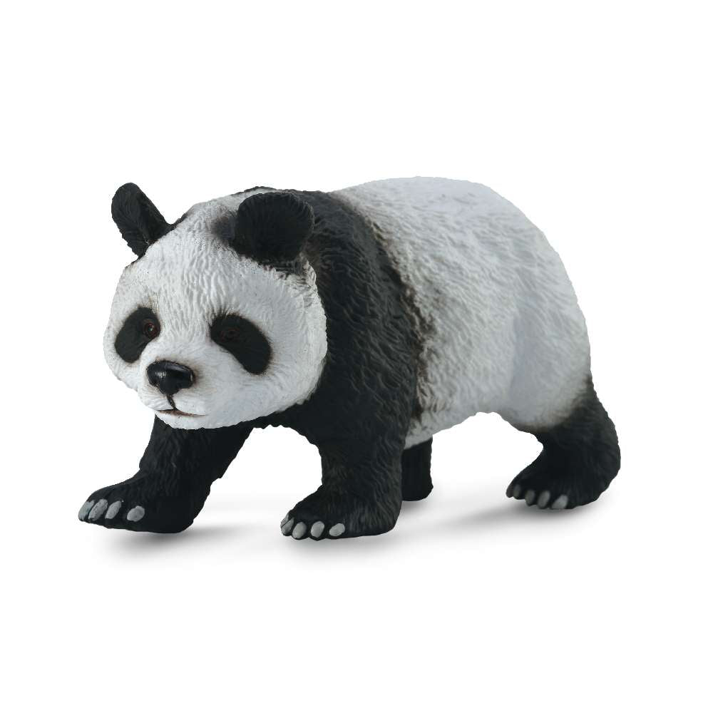 Giant Panda