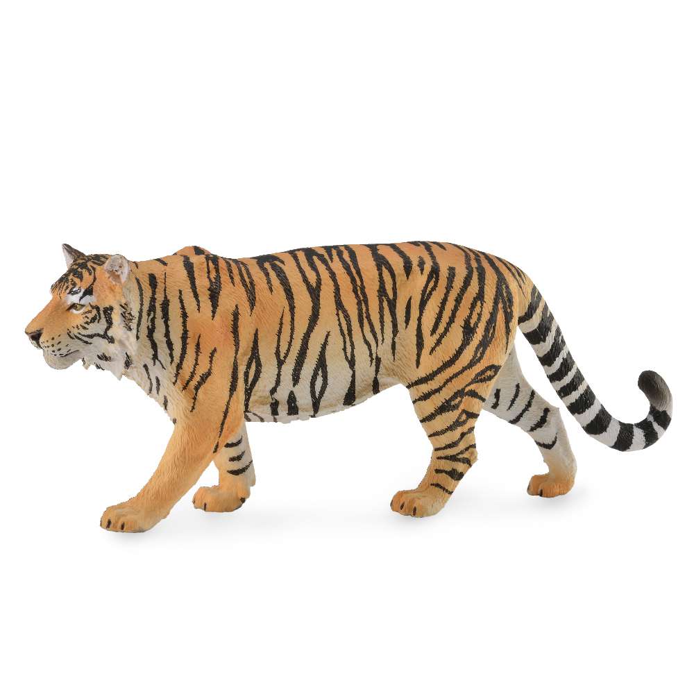 Siberian Tiger