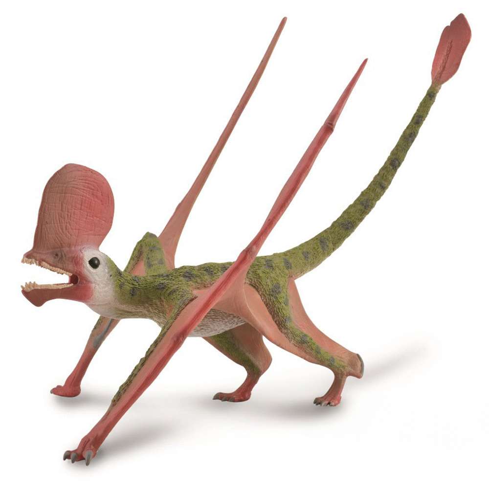 Caviramus with Movable Jaw - 1: 2 Scale
