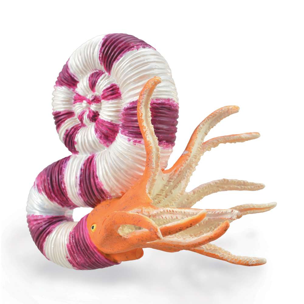 Pravitoceras
