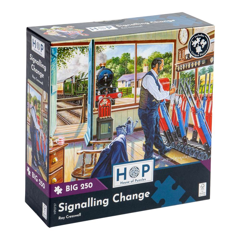 Signalling Change BIG 250 Puzzle