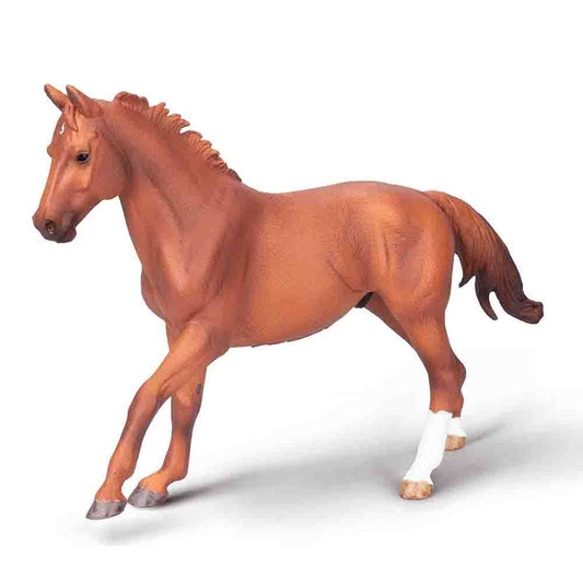 Phar Lap, Thoroughbred Stallion Chestnut