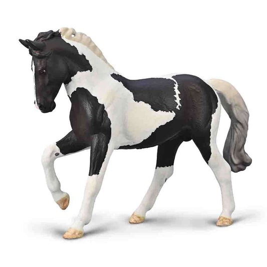 Warmblood Stallion - Black Tobiano