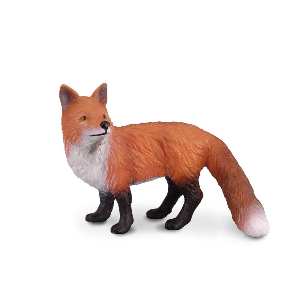 Red Fox