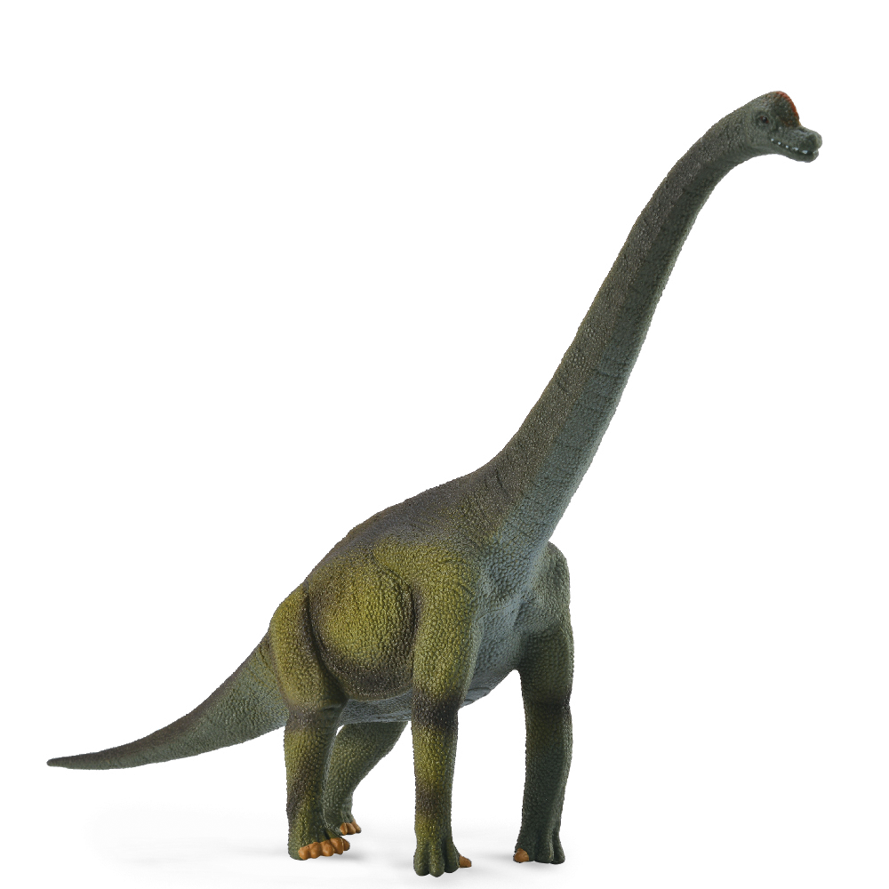 Brachiosaurus