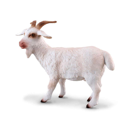 Billy Goat