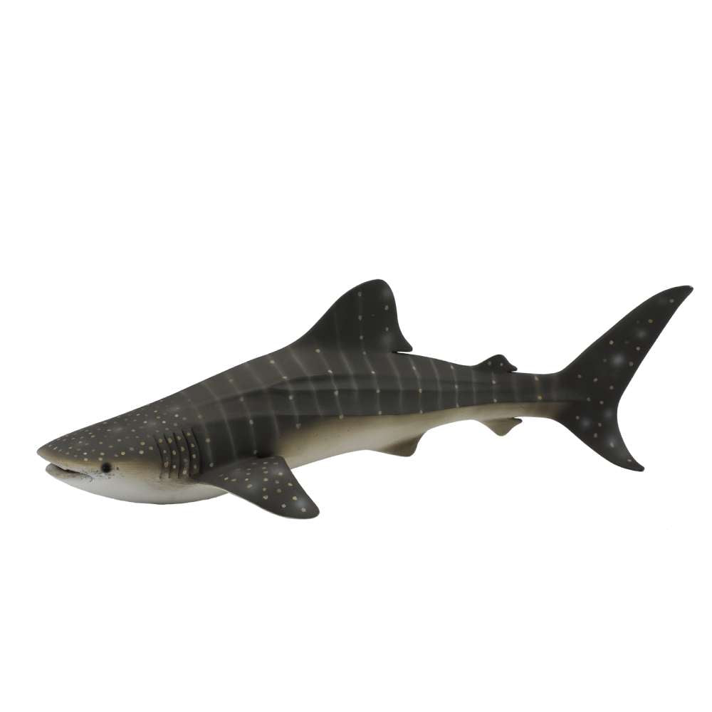 Whale Shark