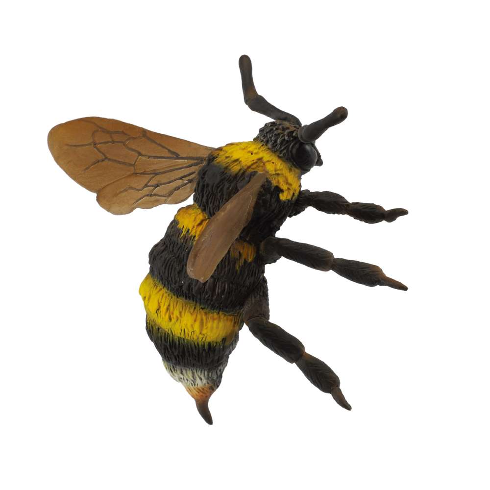 Bumble Bee