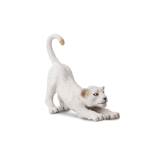 White Lion Cub Stretching