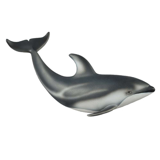 Pacific White Sided Dolphin