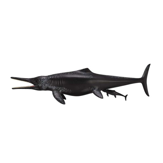 Temnodontosaurus Platyodon Birth