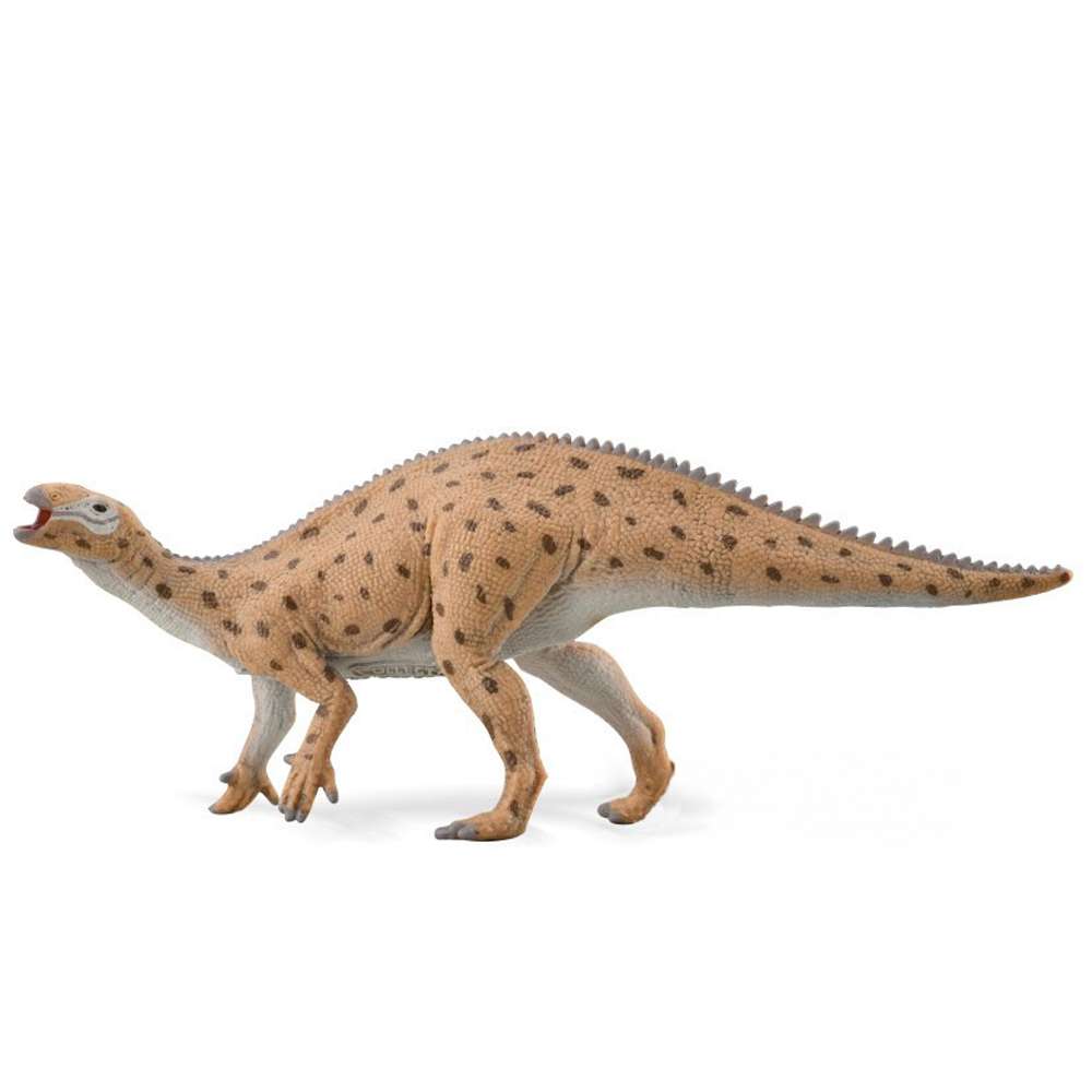 Fukuisaurus - 1:40 Scale