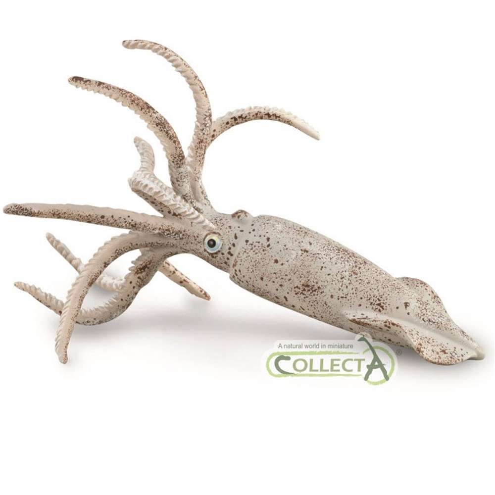Belemnite