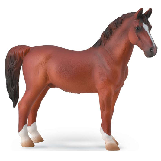 Hackney Stallion Chestnut