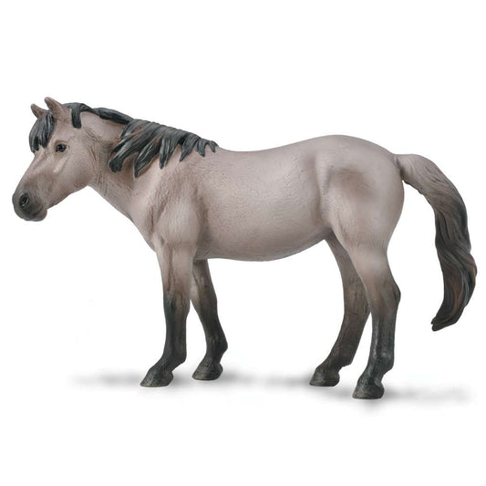 Konik Mare  Blue Dun