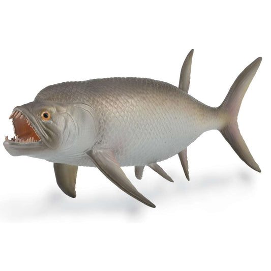Xiphactinus - 1:40 Scale