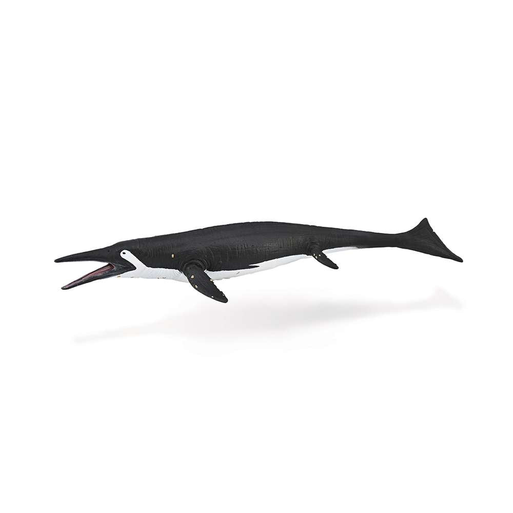 Shastasaurus