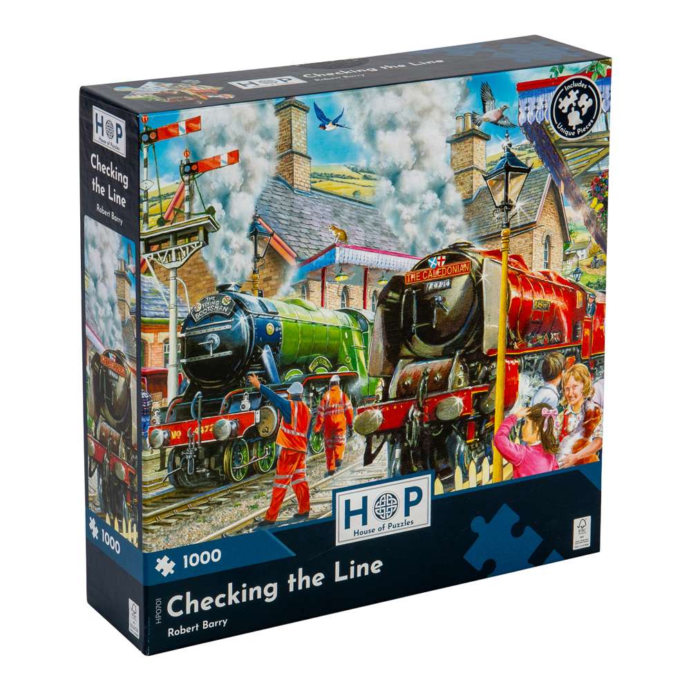 Checking the Line 1000 Piece Puzzle